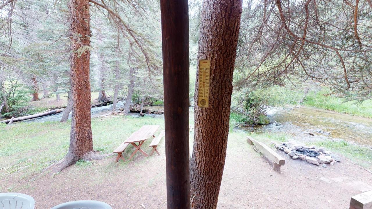 Bear Bait Cabin In Upper Valley With High Speed Wifi Red River Dış mekan fotoğraf