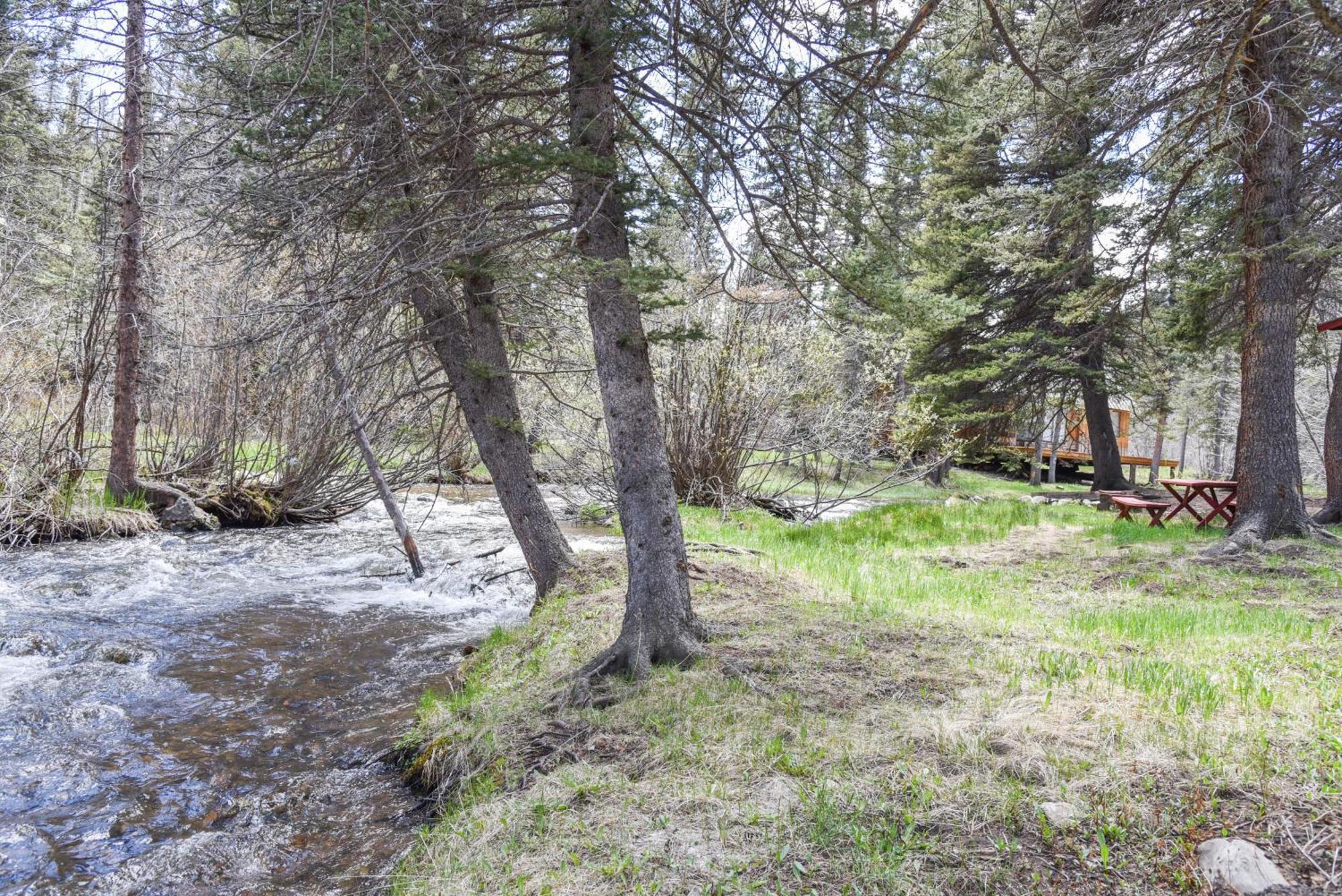 Bear Bait Cabin In Upper Valley With High Speed Wifi Red River Dış mekan fotoğraf